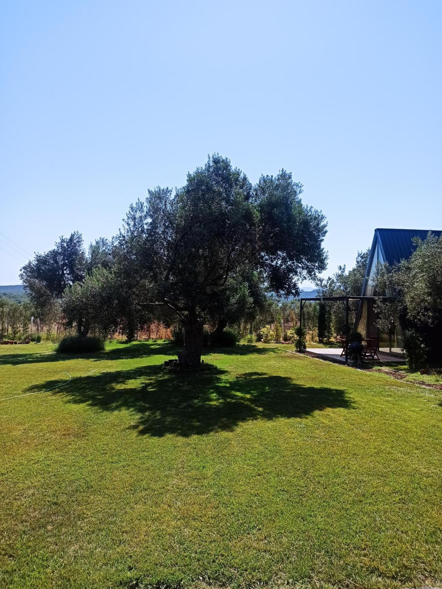 Byelka Bungalov Ayvalı מראה חיצוני תמונה